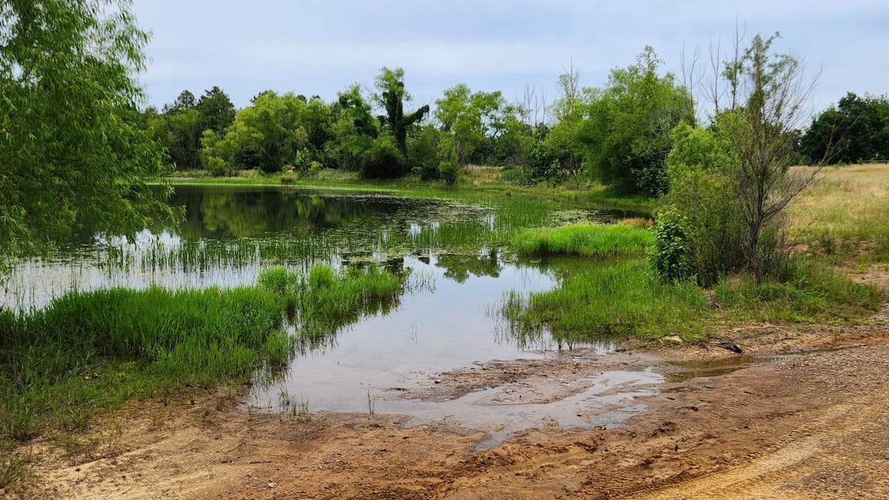 Camper-submitted photo at Buzzards Rock Dispersed, Ozark NF, AR near Paris, AR