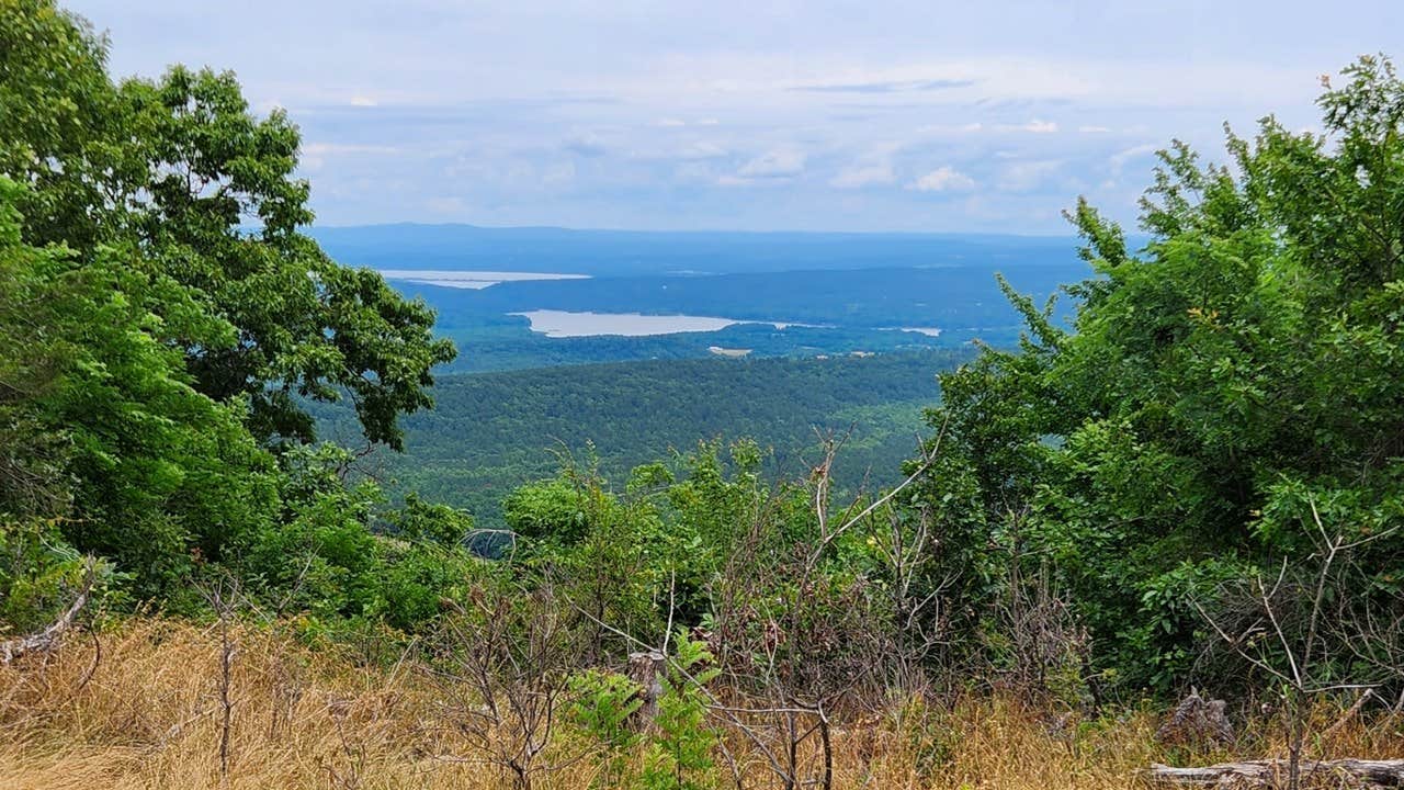 Fred S.'s photo of a dispersed camping area at Buzzards Rock Dispersed, Ozark NF, AR near Casa, AR