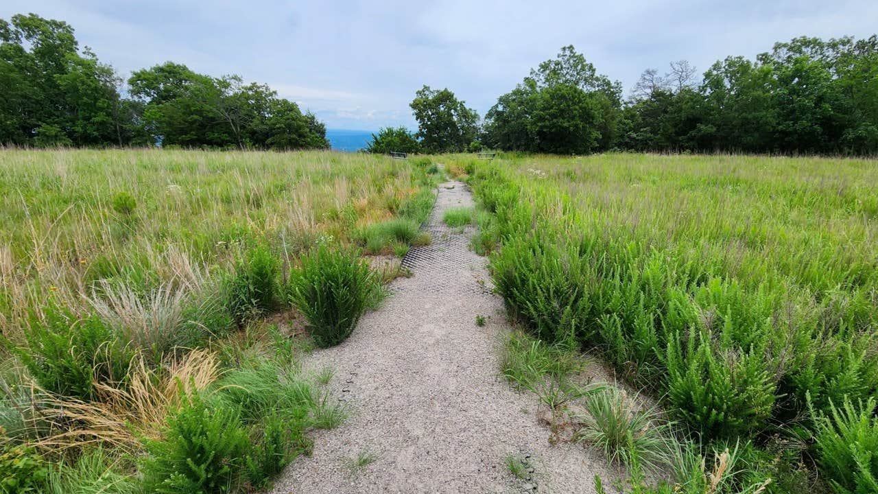 Camper-submitted photo at Buzzards Rock Dispersed, Ozark NF, AR near Russellville, AR