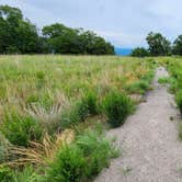 Review photo of Buzzards Rock Dispersed, Ozark NF, AR by Fred S., June 1, 2024