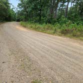 Review photo of Buzzards Rock Dispersed, Ozark NF, AR by Fred S., June 1, 2024