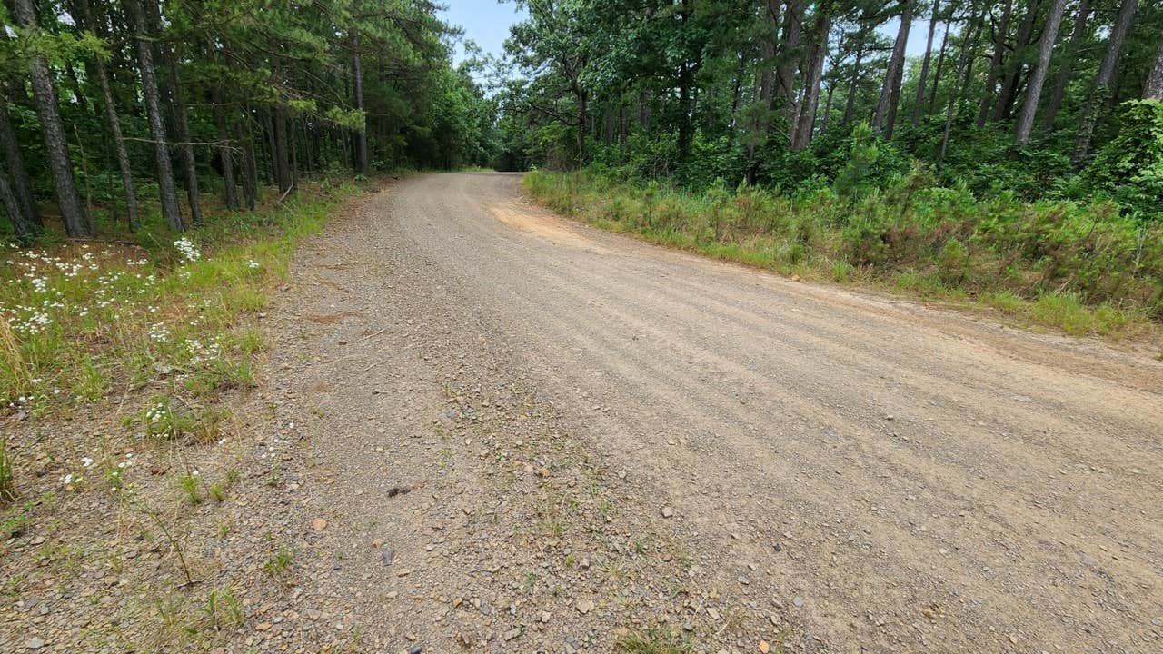 Camper submitted image from Buzzards Rock Dispersed, Ozark NF, AR - 5