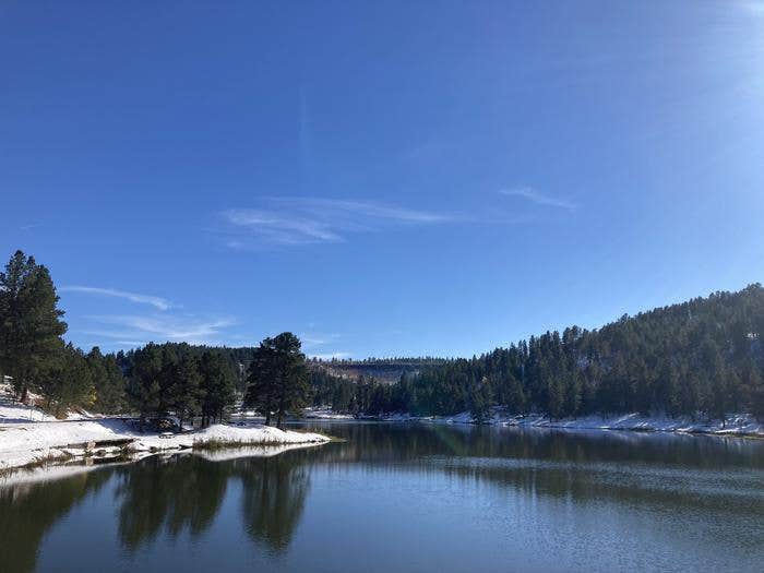 Camper submitted image from Black Hills National Forest Cook Lake Campground - 2