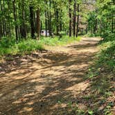 Review photo of Eickleberry Rd Dispersed, Ozarks NF, AR by Fred S., June 1, 2024