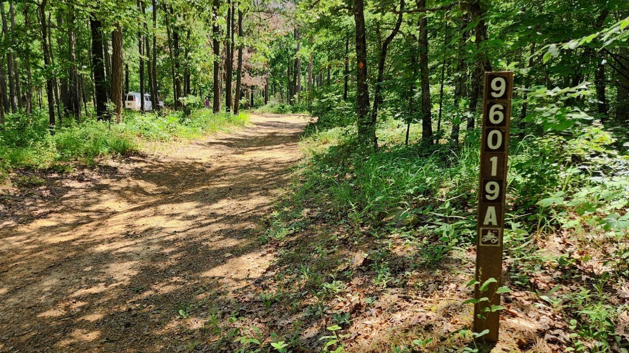 Camper submitted image from Eickleberry Rd Dispersed, Ozarks NF, AR - 4