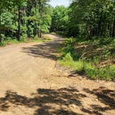 Review photo of Eickleberry Rd Dispersed, Ozarks NF, AR by Fred S., June 1, 2024