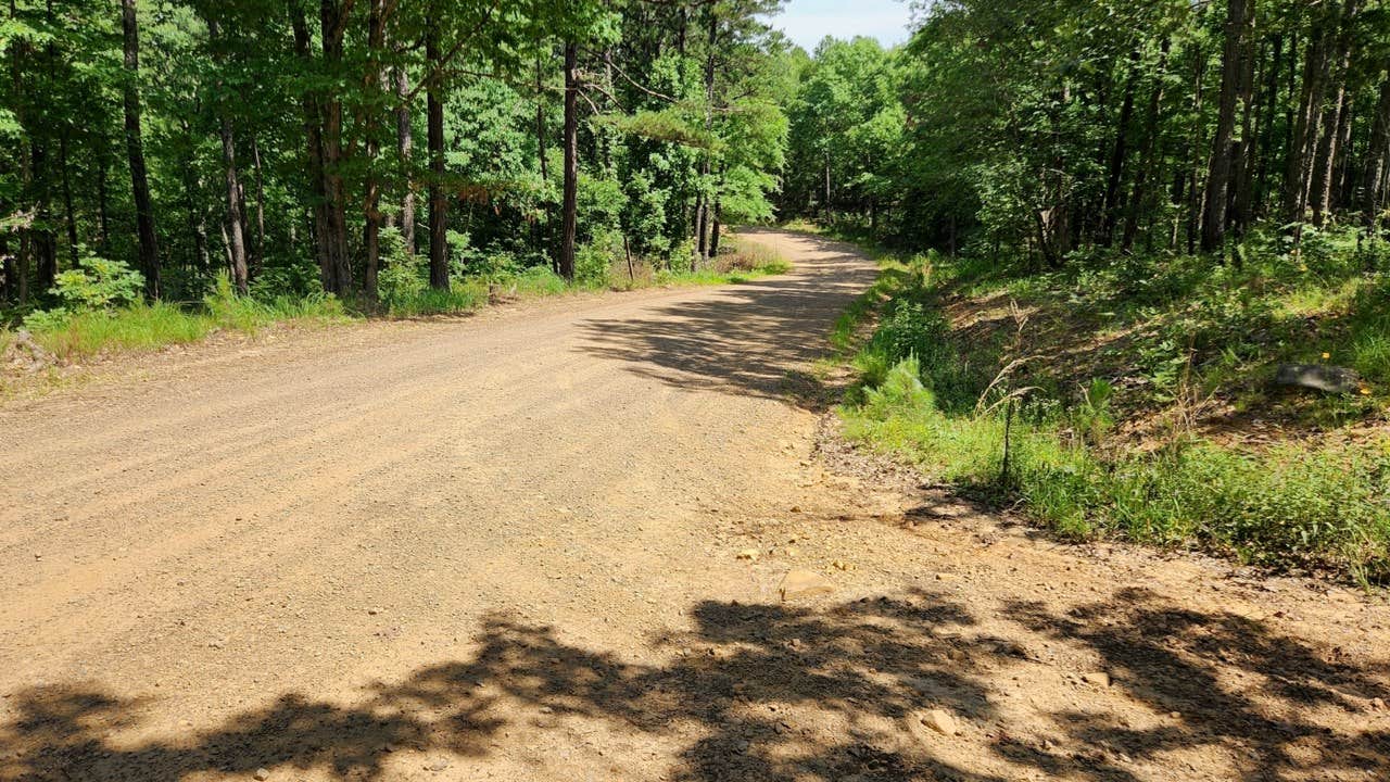 Camper submitted image from Eickleberry Rd Dispersed, Ozarks NF, AR - 5