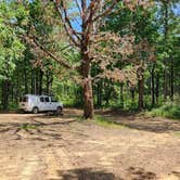 Review photo of Eickleberry Rd Dispersed, Ozarks NF, AR by Fred S., June 1, 2024