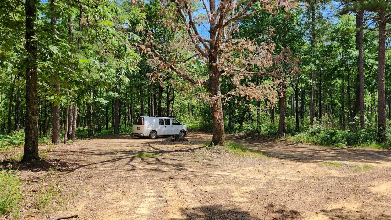 Camper submitted image from Eickleberry Rd Dispersed, Ozarks NF, AR - 3