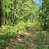 Review photo of Eickleberry Rd Dispersed, Ozarks NF, AR by Fred S., June 1, 2024