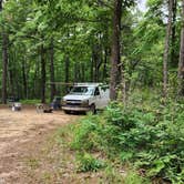 Review photo of Eickleberry Rd Dispersed, Ozarks NF, AR by Fred S., June 1, 2024