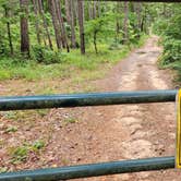 Review photo of Eickleberry Rd Dispersed, Ozarks NF, AR by Fred S., June 1, 2024