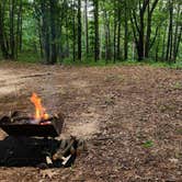 Review photo of Eickleberry Rd Dispersed, Ozarks NF, AR by Fred S., June 1, 2024