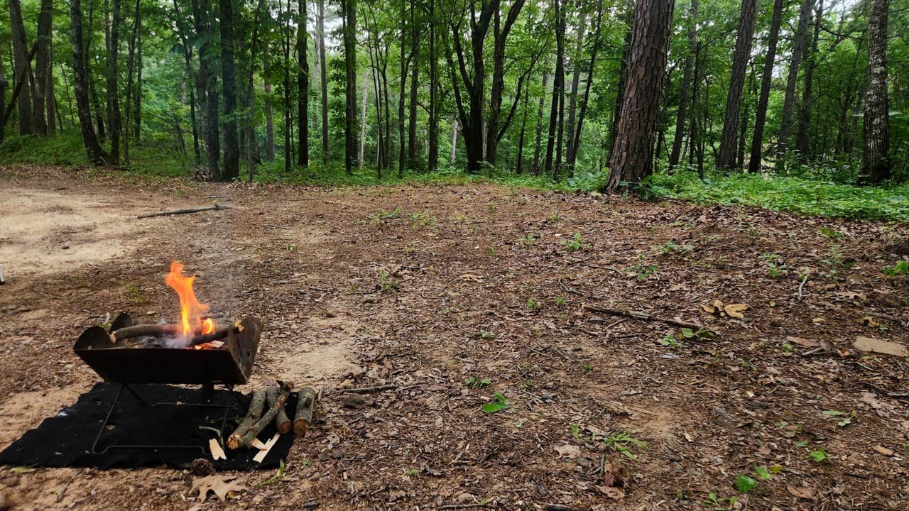 Camper submitted image from Eickleberry Rd Dispersed, Ozarks NF, AR - 1