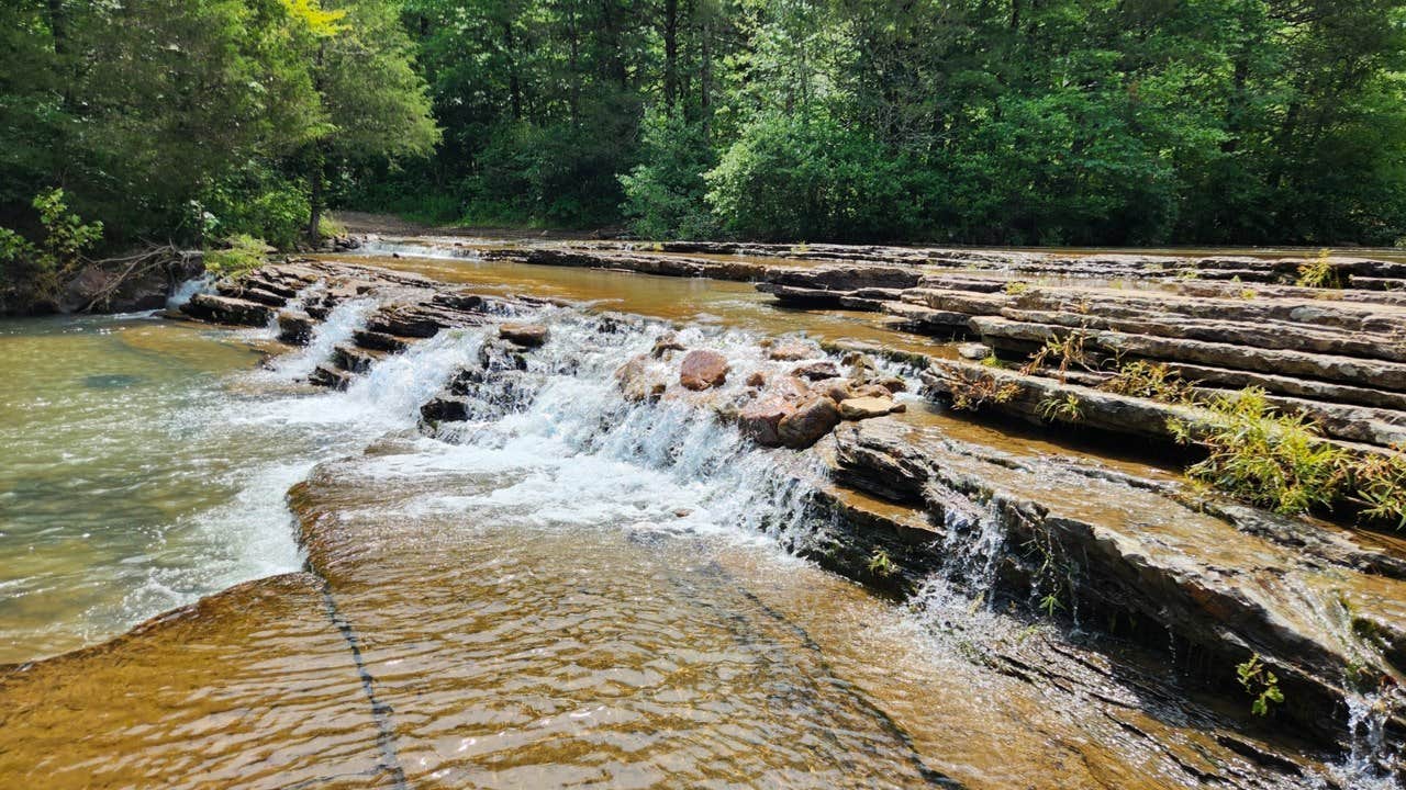 Camper-submitted photo at Eickleberry Rd Dispersed, Ozarks NF, AR near Paris, AR