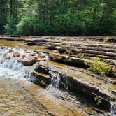 Review photo of Eickleberry Rd Dispersed, Ozarks NF, AR by Fred S., June 1, 2024