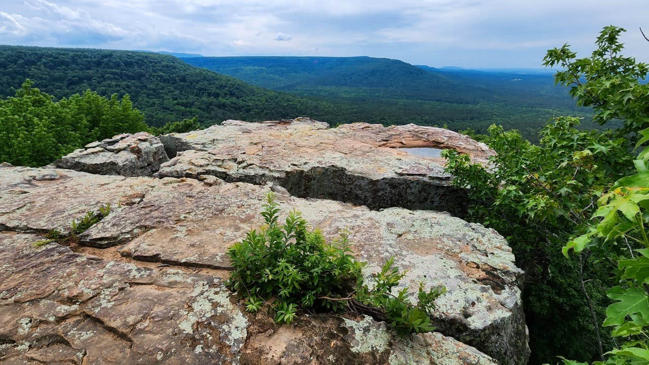 Camper-submitted photo at Eickleberry Rd Dispersed, Ozarks NF, AR near Havana, AR
