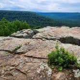 Review photo of Eickleberry Rd Dispersed, Ozarks NF, AR by Fred S., June 1, 2024