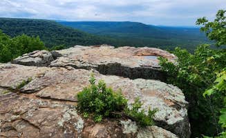 Fred S.'s photo of a dispersed camping area at Eickleberry Rd Dispersed, Ozarks NF, AR near Pettigrew, AR