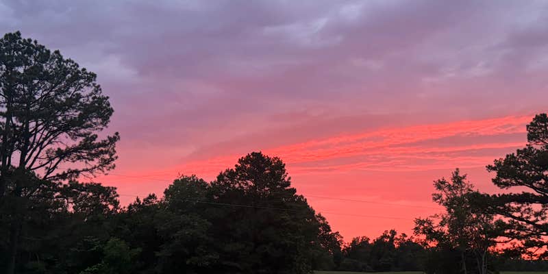 Camper submitted image from Carver Ridge Campground