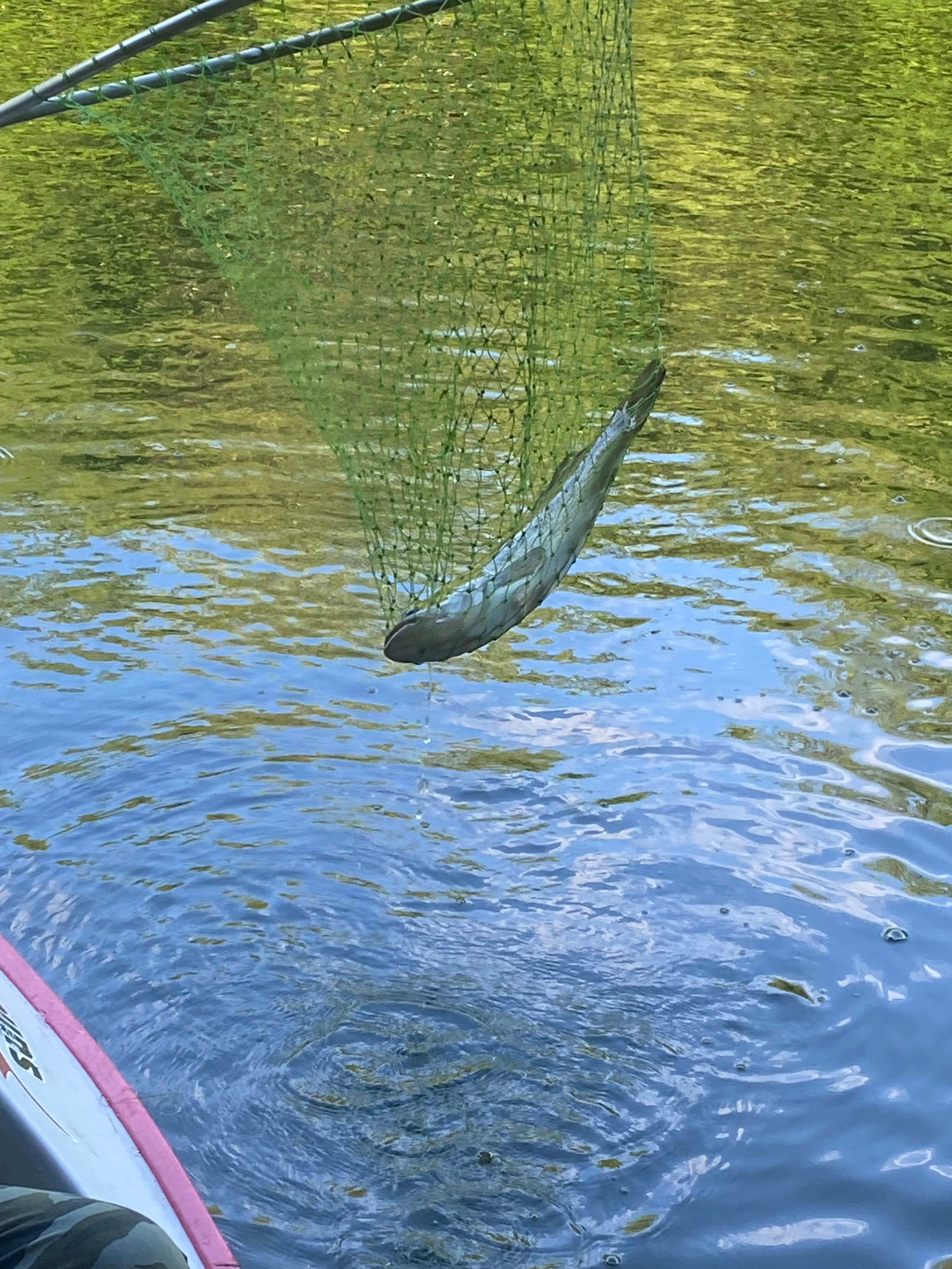 Melvins paradise lake farm