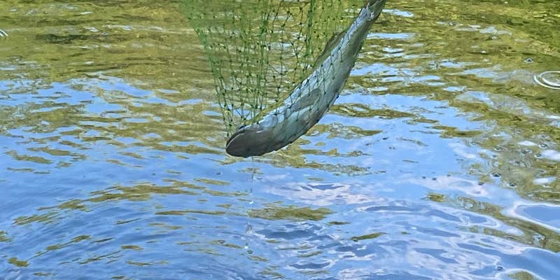 Camper submitted image from Melvins paradise lake farm