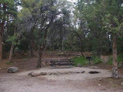 Camper submitted image from Mahogany Cove Campground - 5