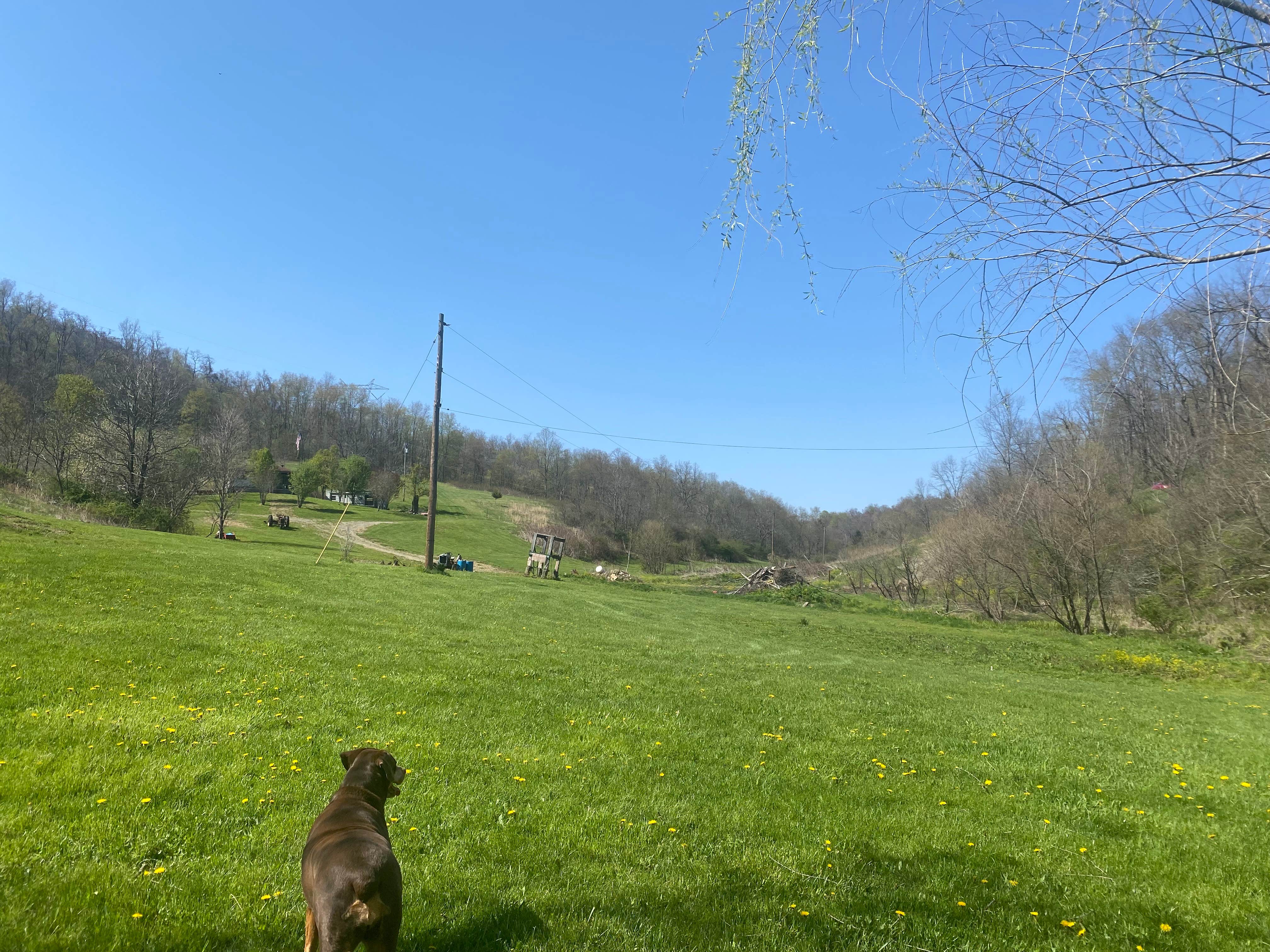 Annie K.'s photo of camping with pets at Melvins paradise lake farm near Pittsburgh, PA