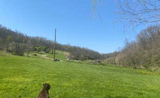Annie K.'s photo of camping with pets at Melvins paradise lake farm near Paw Paw, WV