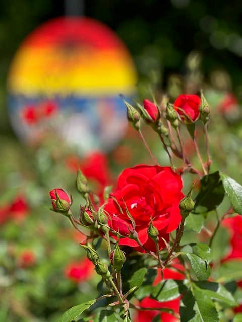 Camper-submitted photo at Hollywood RV Park near Agoura Hills, CA