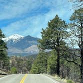 Review photo of Bonito Campground — Sunset Crater National Monument by Donna H., June 1, 2024