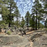 Review photo of Bonito Campground — Sunset Crater National Monument by Donna H., June 1, 2024