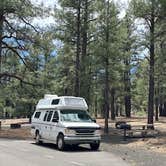 Review photo of Bonito Campground — Sunset Crater National Monument by Donna H., June 1, 2024