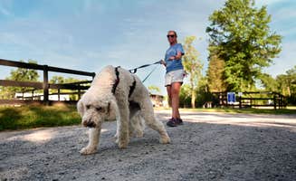 Heidi R.'s photo of camping with pets at Artillery Ridge Campground near Reisterstown, MD