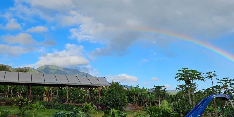 Camper submitted image from Park Pick & Play @ Living Circle Farms Hawaii