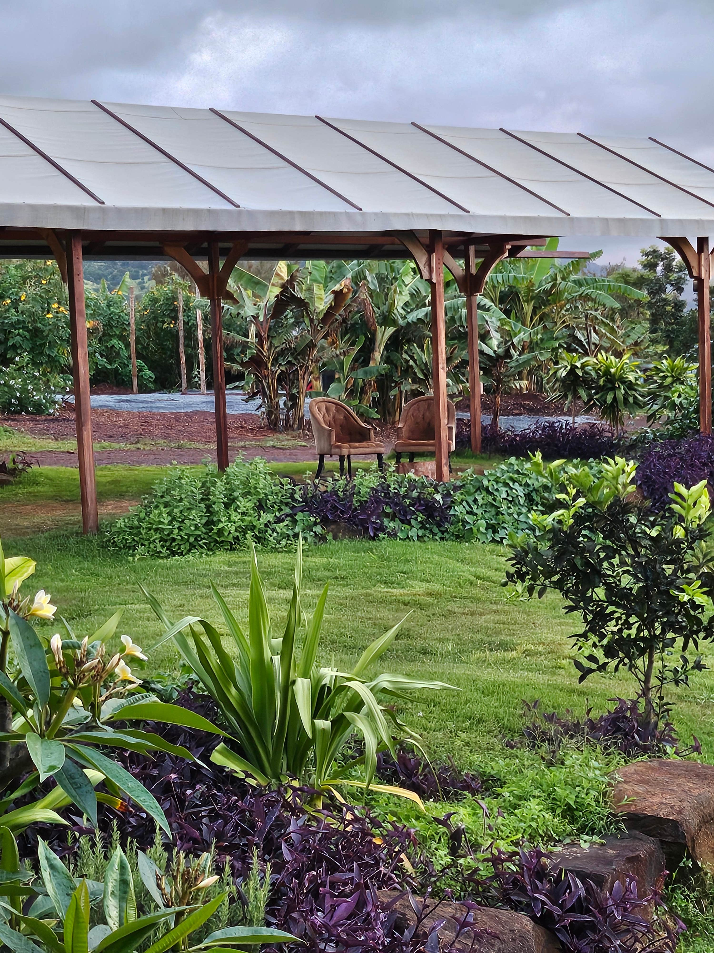 Camper-submitted photo at Park Pick & Play @ Living Circle Farms Hawaii near Nanakuli, HI