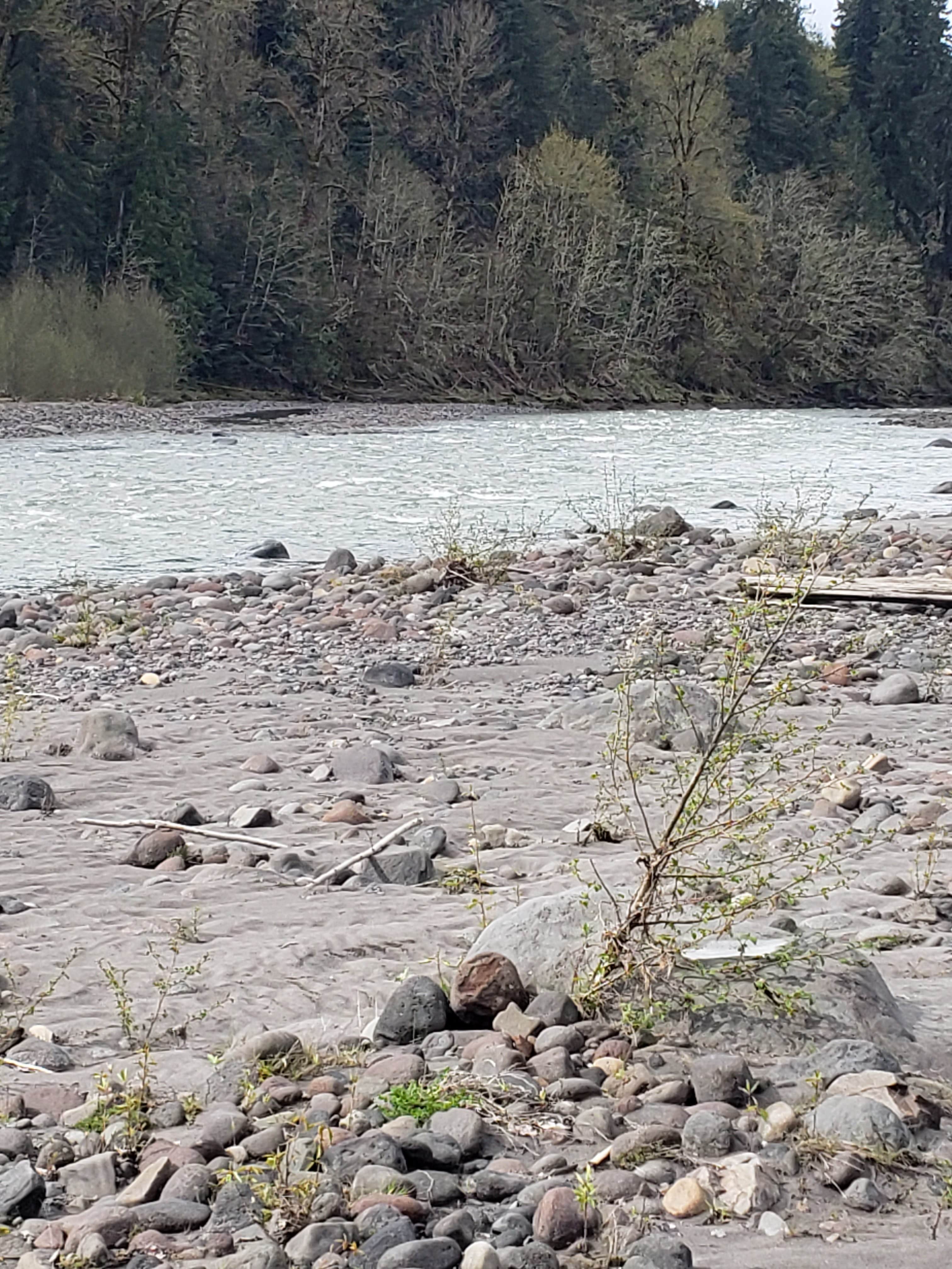 Camper-submitted photo at Rapid Ride Adventure near Chehalis, WA