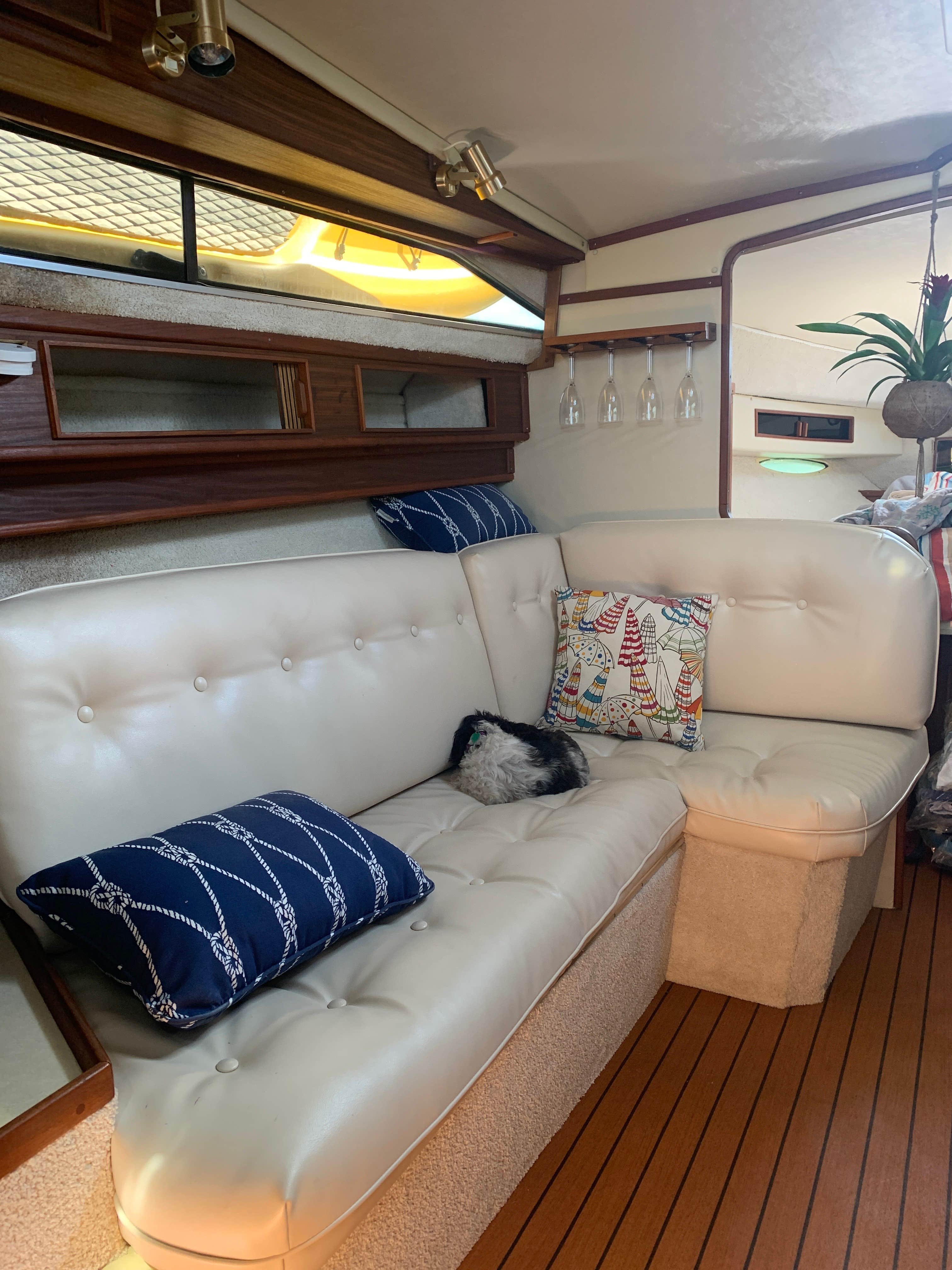 Brad S.'s photo of camping with pets at Whitetail Bluff Campground and Resort near Elkader, IA