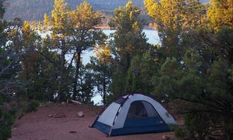Camping near Cedar Springs Campground: Mustang Ridge Campground, Dutch John, Utah