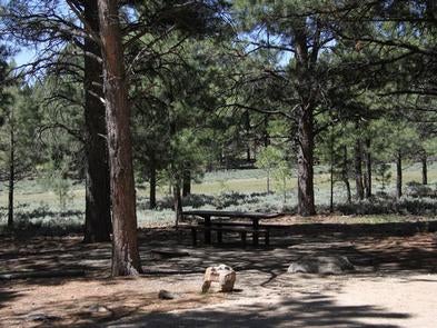 Camper submitted image from Manti-LaSal National Forest Nizhoni Campground - 2
