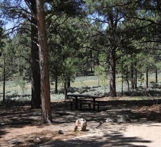Camper-submitted photo from Manti-LaSal National Forest Nizhoni Campground