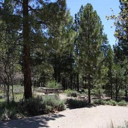 Public Campgrounds: Manti-LaSal National Forest Nizhoni Campground
