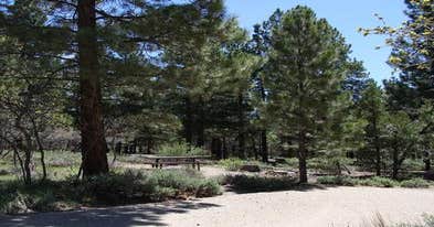 Manti-lasal National Forest Nizhoni Campground 