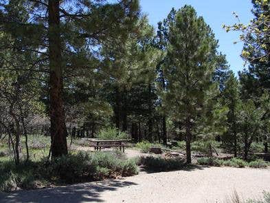 Camper submitted image from Manti-LaSal National Forest Nizhoni Campground - 1