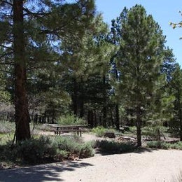 Public Campgrounds: Manti-LaSal National Forest Nizhoni Campground