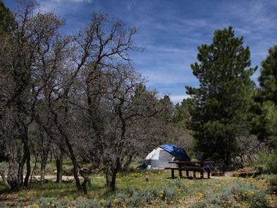 Camper submitted image from Manti-LaSal National Forest Nizhoni Campground - 3