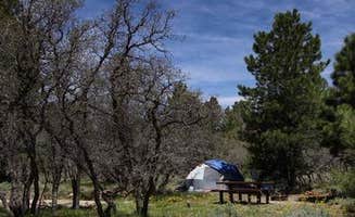 The Dyrt's photo at Manti-LaSal National Forest Nizhoni Campground near Blanding, UT