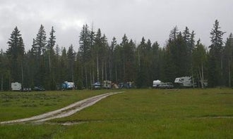 Iron Springs Group Campground - Ashley National Forest