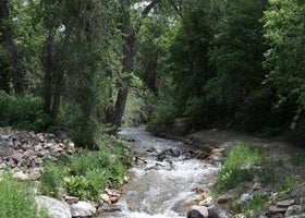 Oak Creek (fishlake National Forest, Utah)
