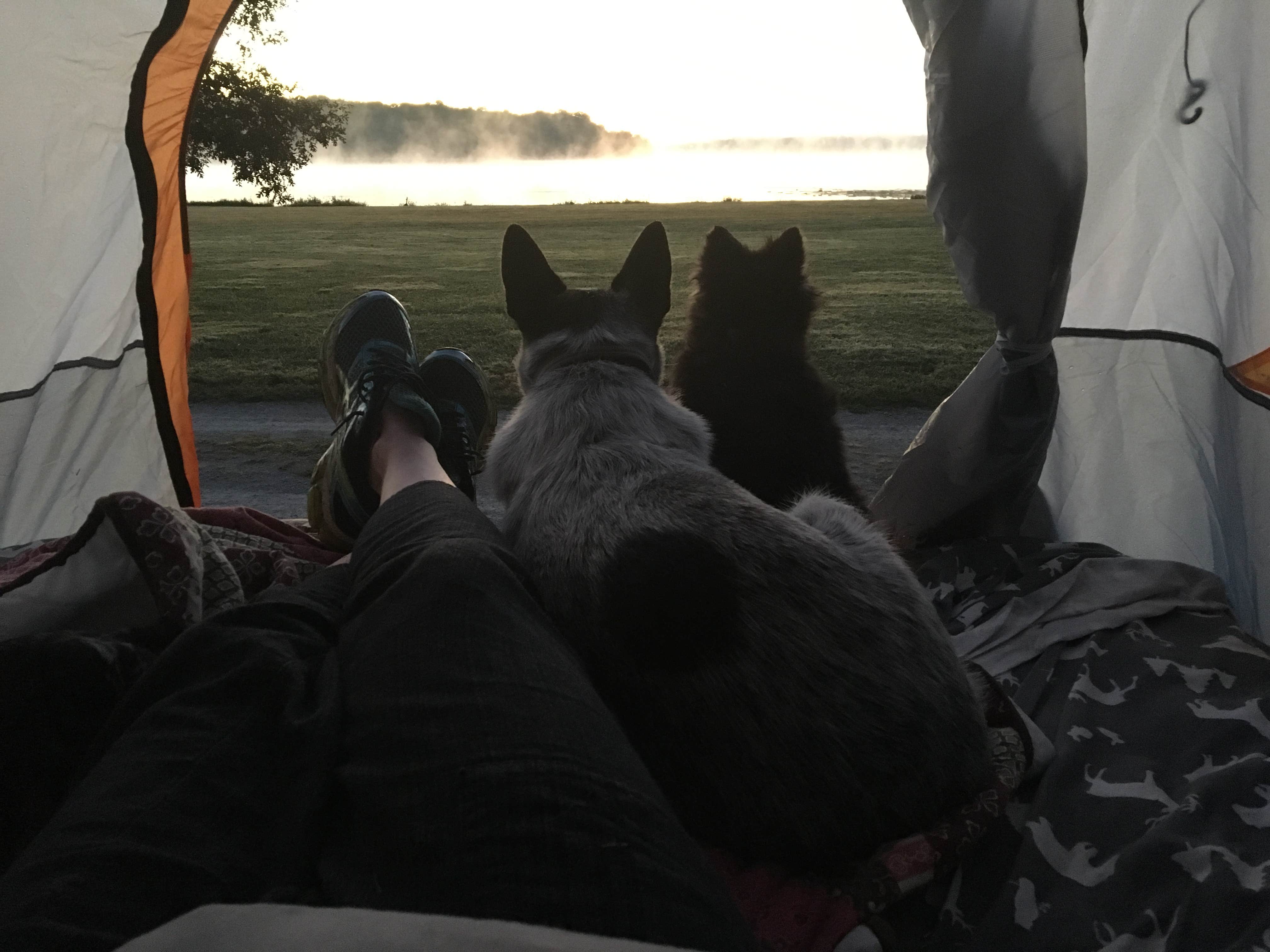 Shelly S.'s photo of glamping accommodations at Rocky Fork State Park Campground near Blue Ash, OH